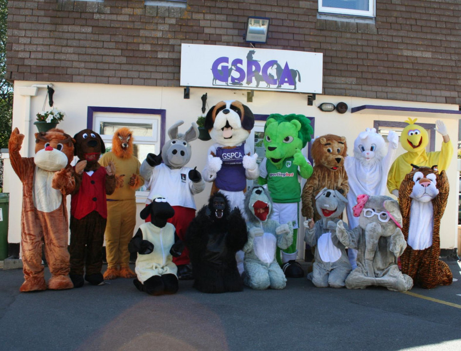 AFM help out at GSPCA Animal Welfare Seafront Sunday event